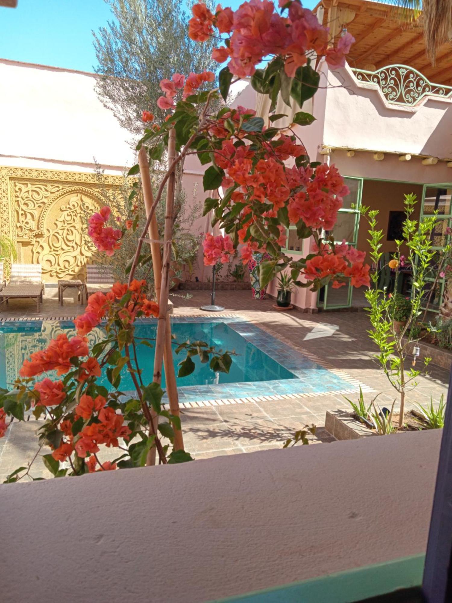 تارودانت‎ Riad Tania Mozaik المظهر الخارجي الصورة